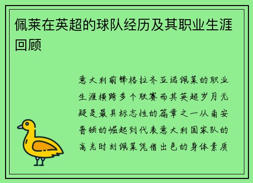 佩莱在英超的球队经历及其职业生涯回顾